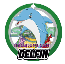 Imagen animalito Delfín de Loto Selva