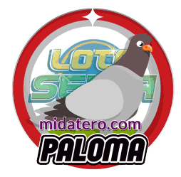 Imagen animalito Paloma de Loto Selva