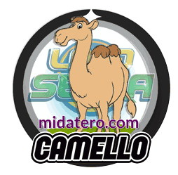 Imagen animalito Camello de Loto Selva