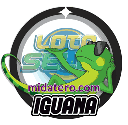 Imagen animalito Iguana de Loto Selva