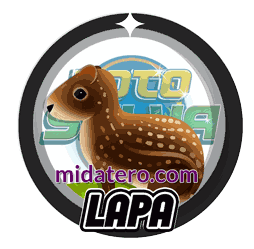 Imagen animalito Lapa de Loto Selva