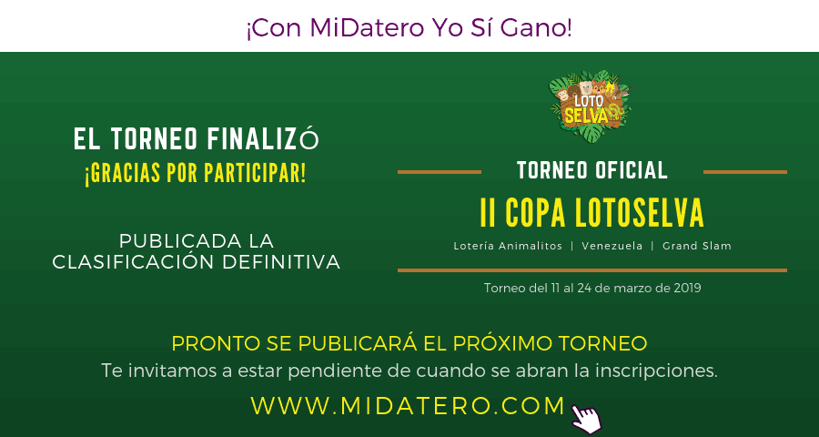 Participa en el Torneo I Copa LotoSelva