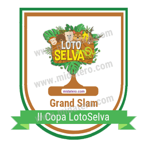 Insignia General del torneo