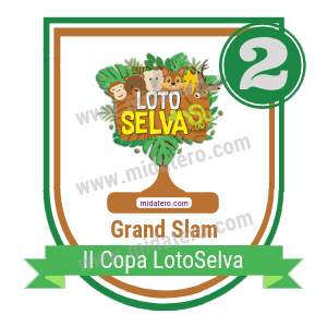 Insignia General del torneo