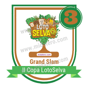 Insignia General del torneo