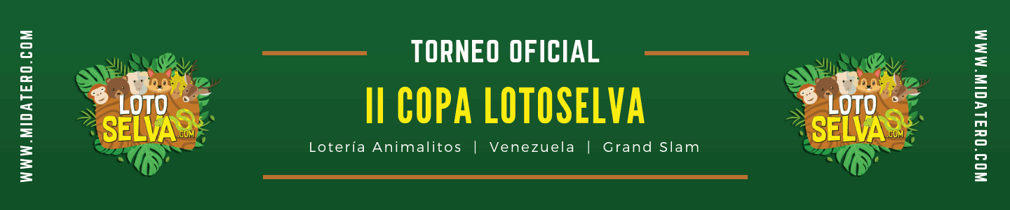 Arte representativo del torneo