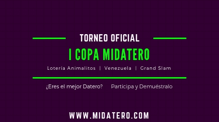 Arte representativo del torneo