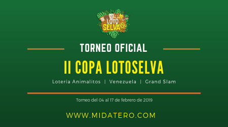 Arte representativo del torneo