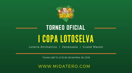 Arte representativo del torneo